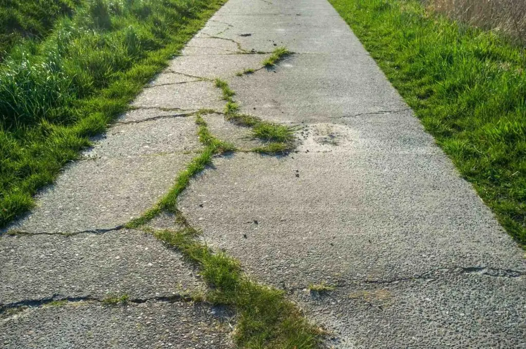 old concrete path with cracks and overgrown with g 2026 01 07 01 35 38 utc 1