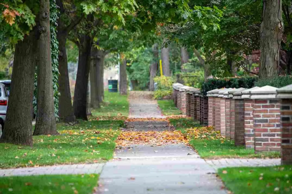 peaceful tree lined sidewalk in a residential neig 2026 01 07 23 02 50 utc 11zon